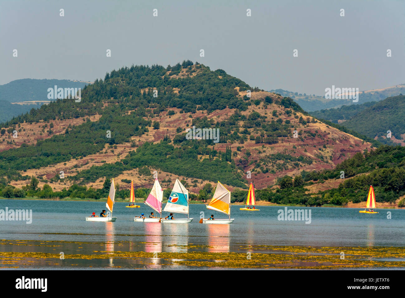 Vista del Lac du Salagou lago vicino a Cannes. Hérault. Occitanie. La Francia. Europa Foto Stock