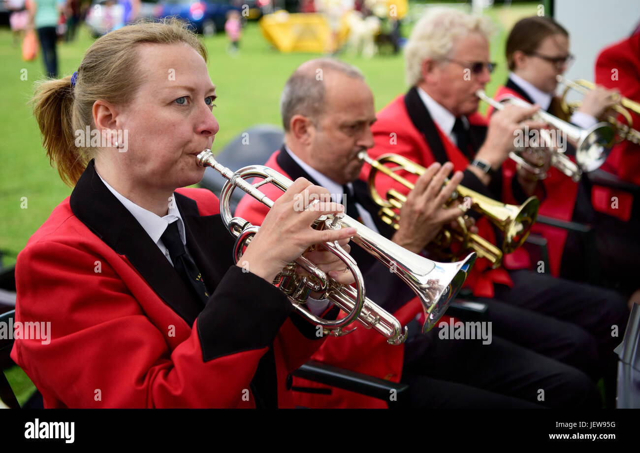 I membri di Farnham Brass Band forniscono l'intrattenimento musicale in occasione dell'annuale Wrecclesham fete, Farnham, Surrey, Regno Unito. Il 25 giugno 2017. Foto Stock