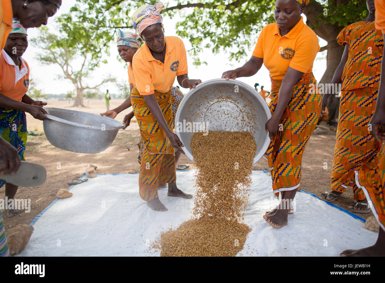 Una donna processi cooperativi e parboils riso come una produzione di reddito attività nella regione Upper-East, Ghana. Foto Stock