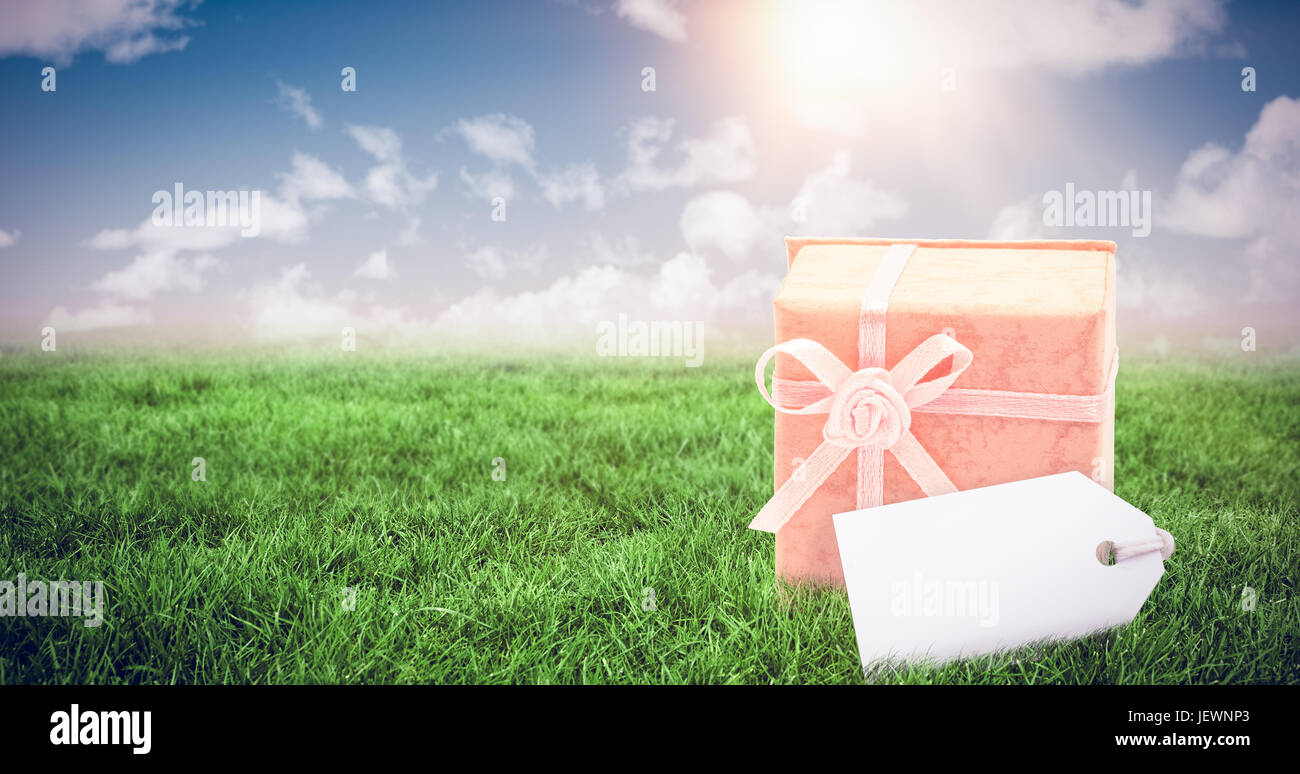 Immagine composita di etichetta Foto Stock