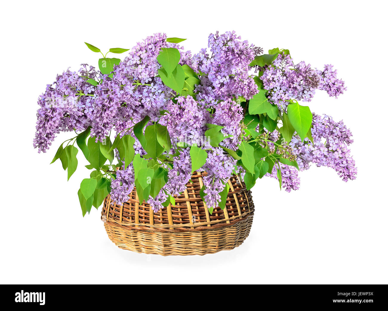 Lilla bouquet di fiori in un cesto di vimini Foto Stock