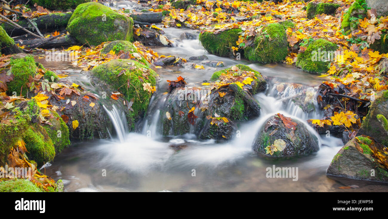 Bella cascata cascata nella foresta di autunno Foto Stock