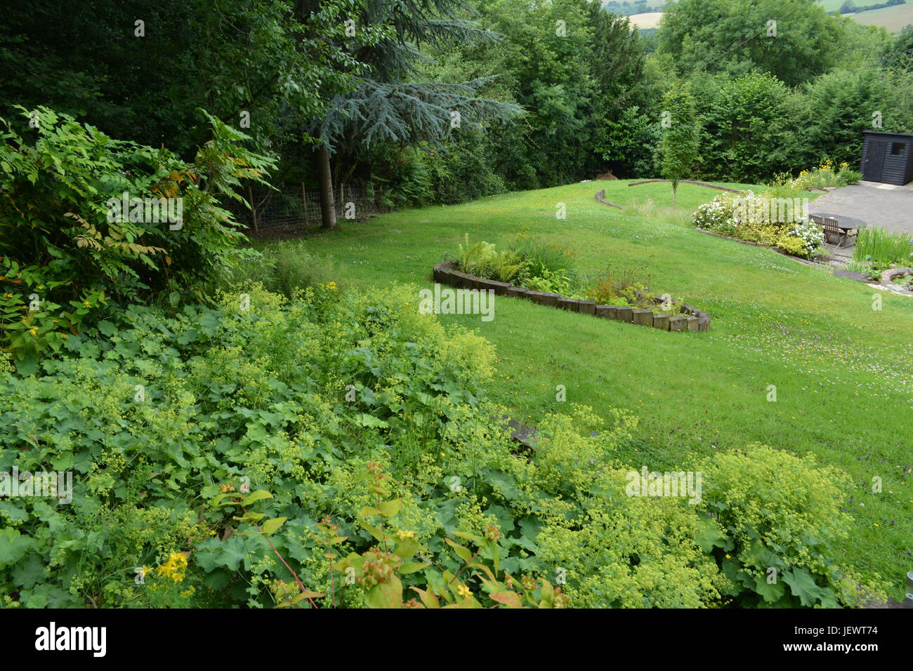 Ben curati inclinata grande giardino prato sulla collina con ben rifornito di frontiere maturo con il confine di alberi e cespugli Foto Stock