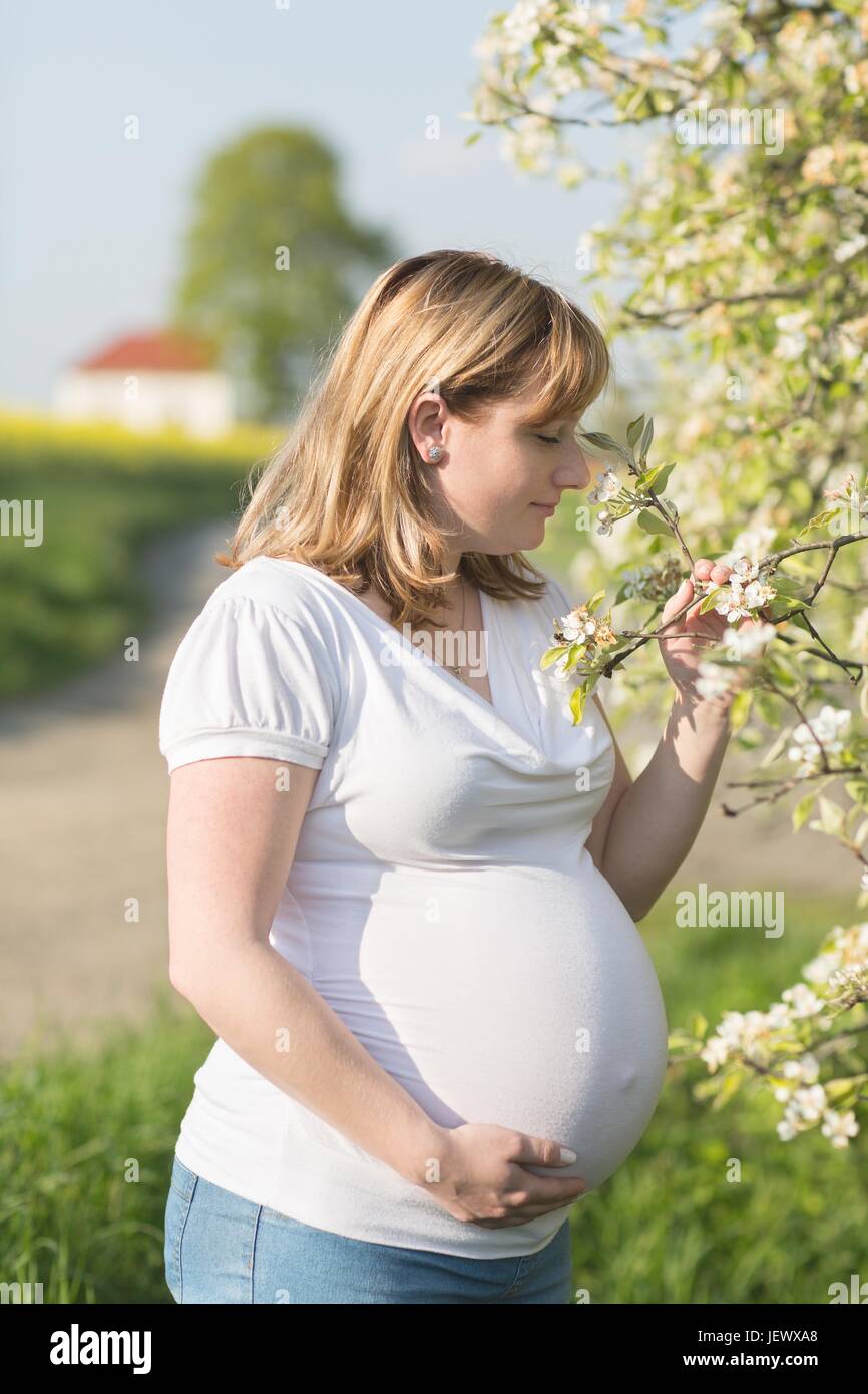 Bel ritratto ragazza in stato di gravidanza Foto Stock