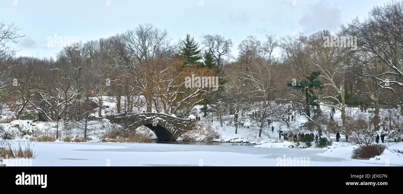 Panoramica di Central Park all indomani della tempesta di neve Juno. Foto Stock