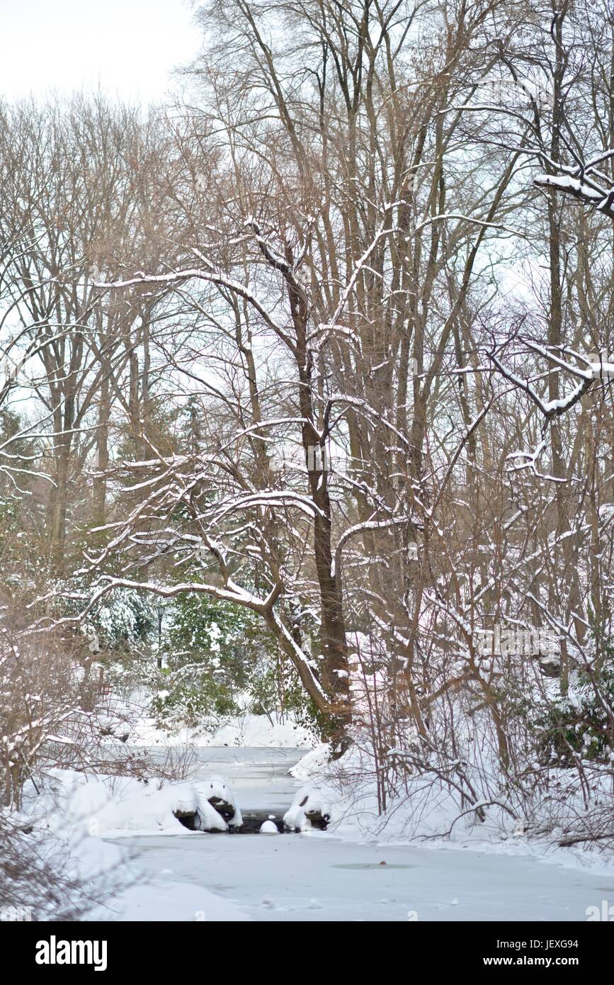 Central Park all indomani della tempesta di neve Juno. Foto Stock