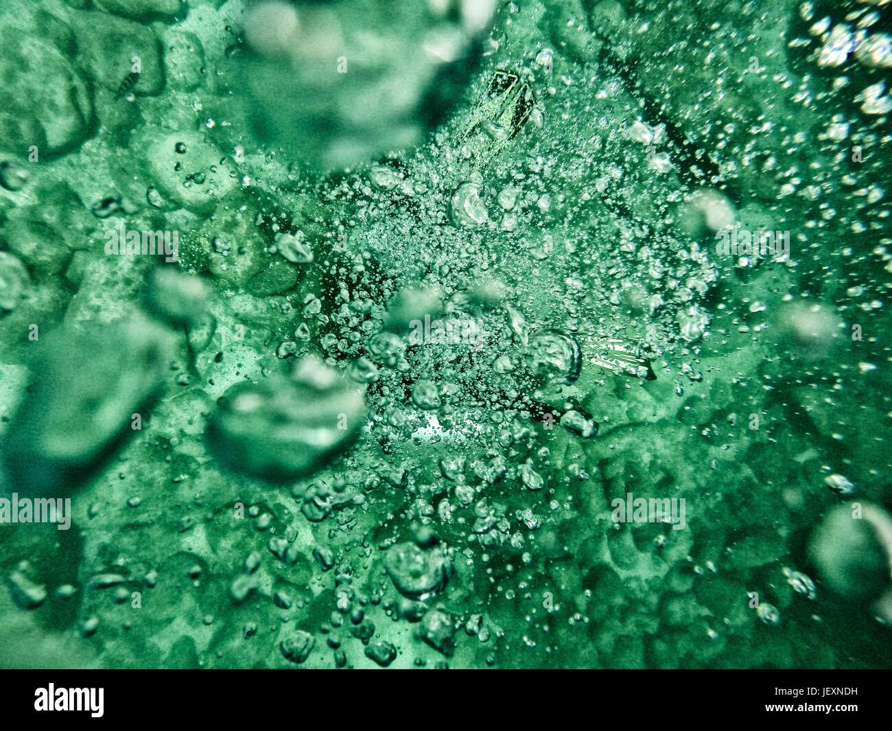 Le bolle di aria nel mare di Cortez. Foto Stock