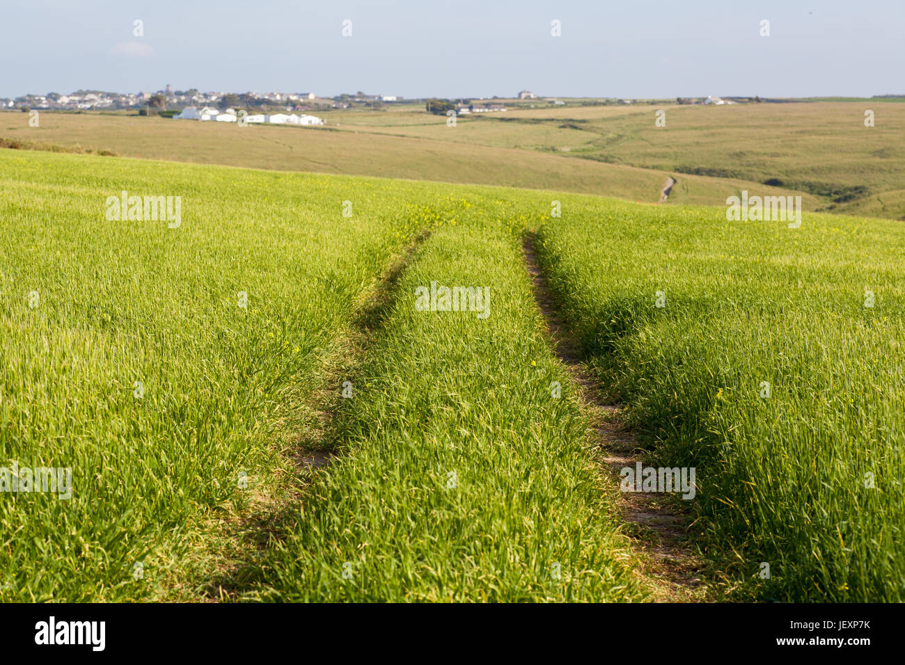 West pentire vicino a Newquay in Cornovaglia Regno Unito. paesaggio rurale scena con n. di persone all'esterno. Il turismo o wanderlust concetto. Foto Stock