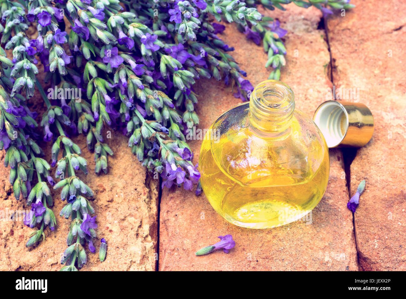 Olio di lavanda con fiori freschi di rami sulla superficie di mattoni Foto Stock