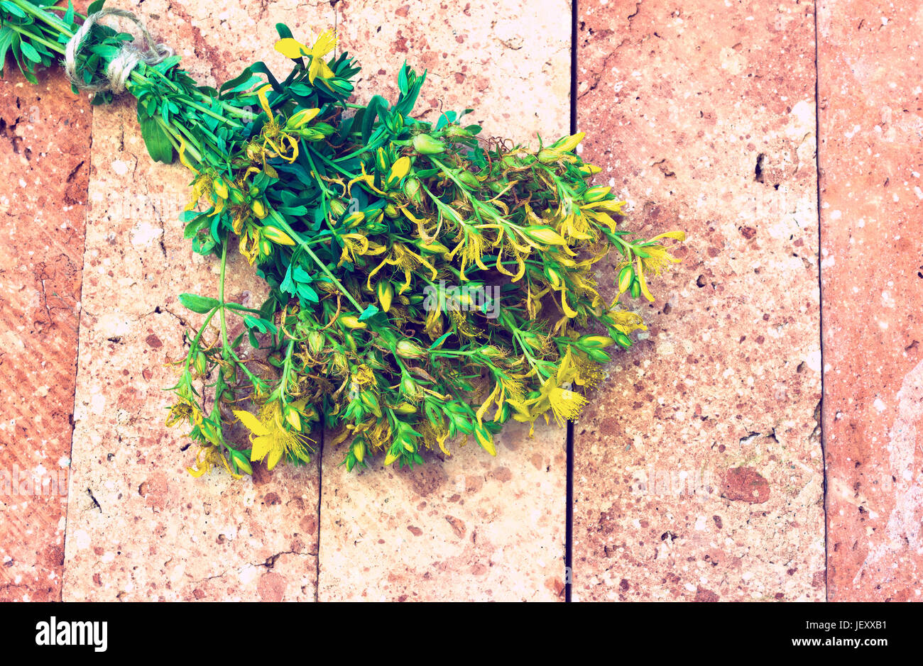 Iperico fioritura su una base in muratura - look vintage Foto Stock