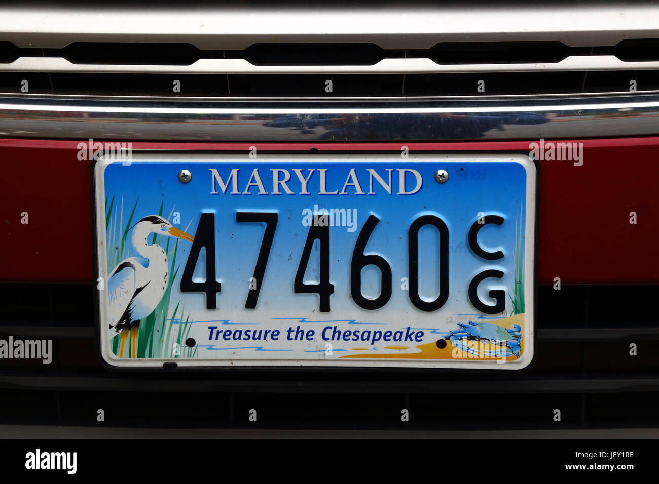 Decorate il Maryland membro auto piastra di licenza per incoraggiare le persone a fare tesoro della Chesapeake Bay e la sua flora e fauna, STATI UNITI D'AMERICA Foto Stock