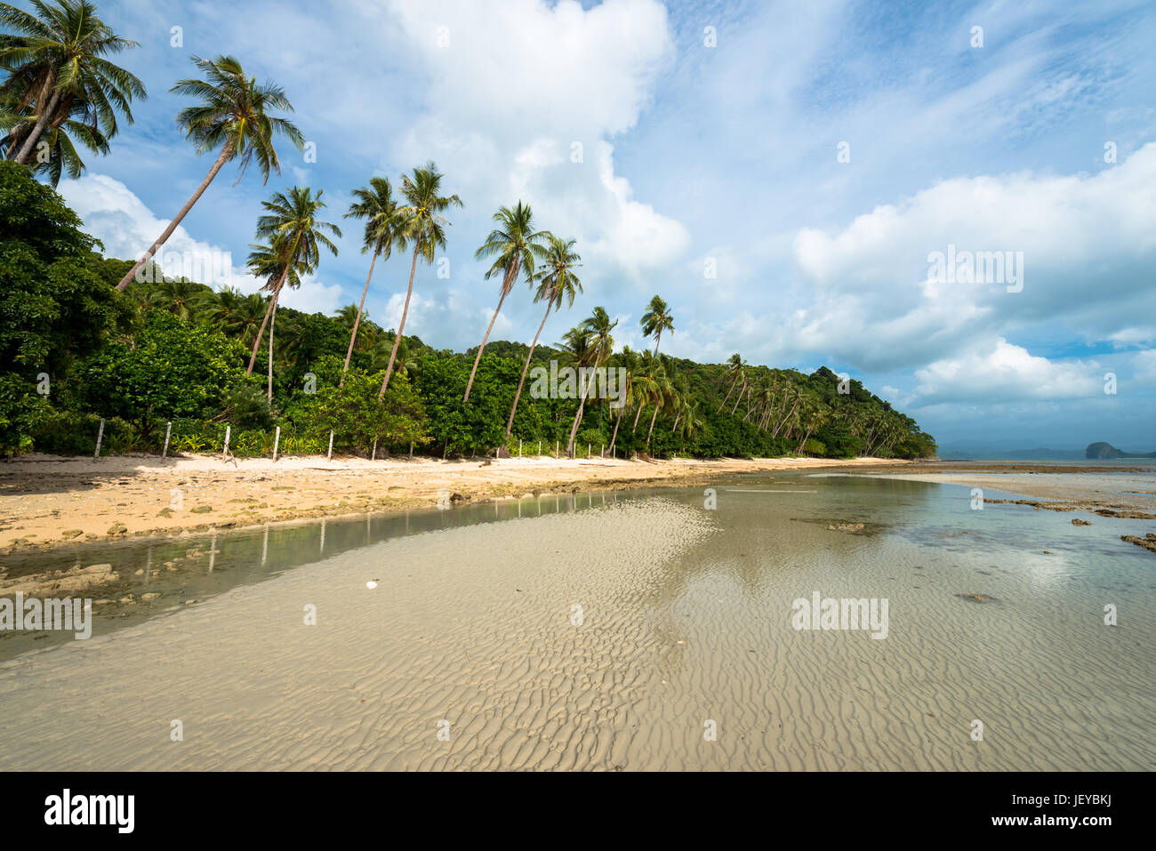 EL NIDO, PALAWAN FILIPPINE - MARZO 29, 2017: Bassa marea volta a Las Cabanas spiaggia con molti alberi e palme Foto Stock