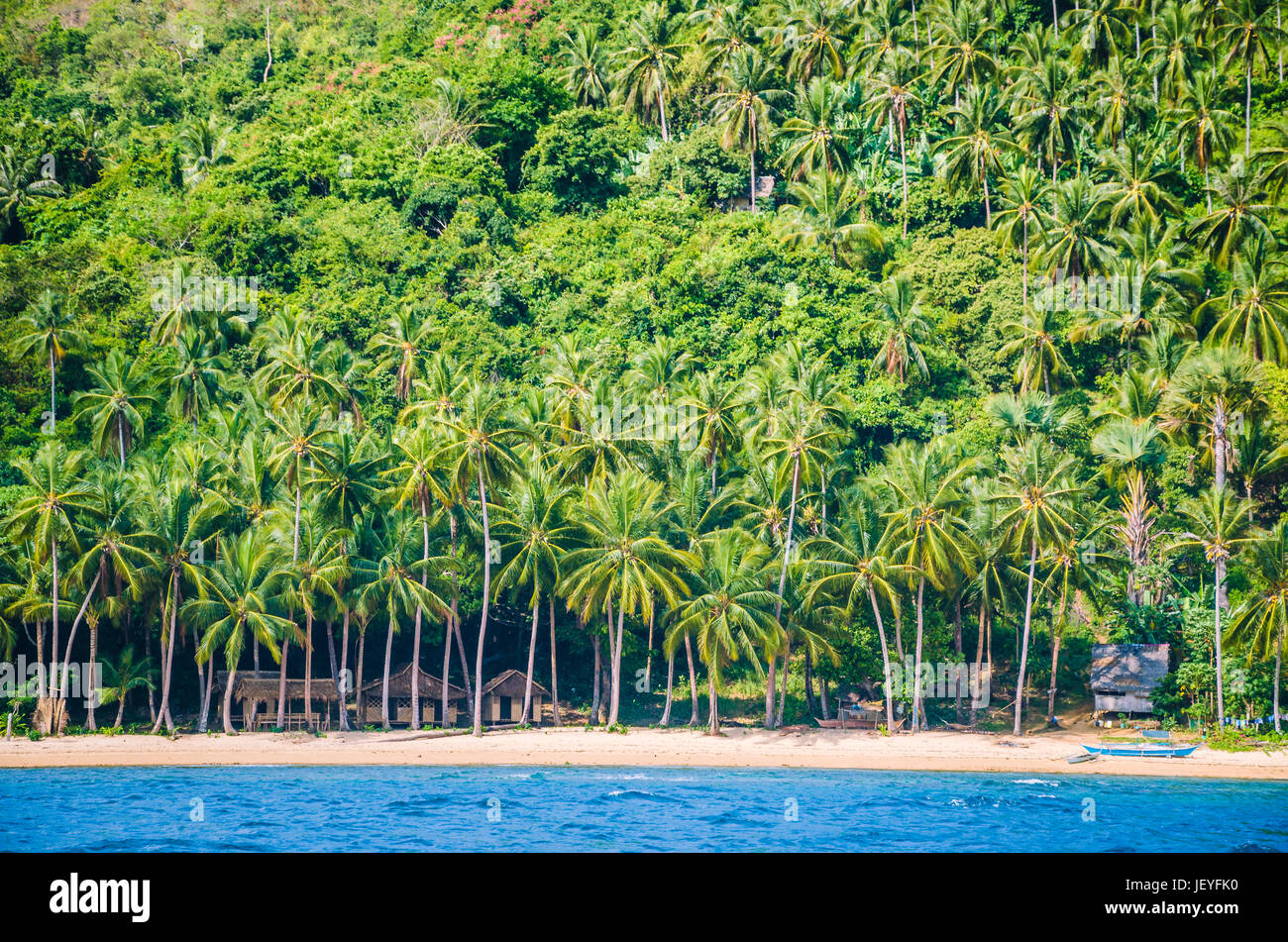 Capanne locali sotto le palme sulla Cadlao Island, El Nido, PALAWAN FILIPPINE. Foto Stock