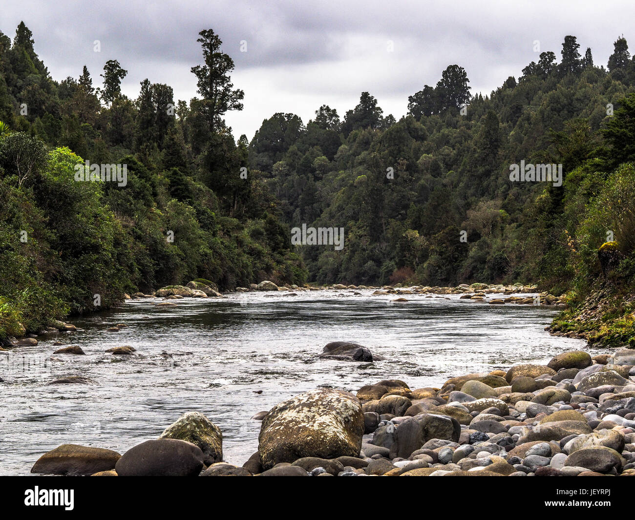 Whakapapa River a Owhango. Che scorre nel letto di boulder attraverso la foresta nativa su ripidi pendii del River Gorge, Tongariro foresta, Distict Ruapehu, New Zealan Foto Stock