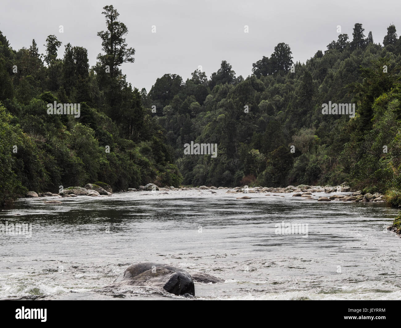 Whakapapa River a Owhango. Che scorre nel letto di boulder attraverso la foresta nativa su ripidi pendii del River Gorge, Tongariro foresta, Distict Ruapehu, New Zealan Foto Stock
