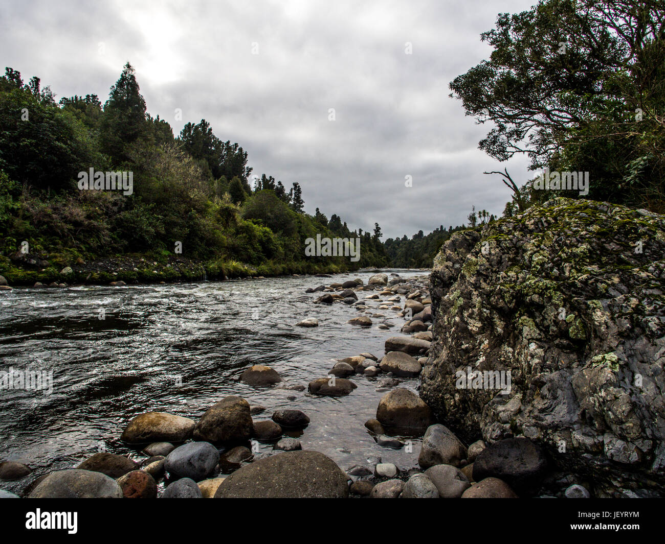 Whakapapa River a Owhango fluente nel letto di boulder attraverso la foresta nativa su ripidi pendii del River Gorge, Tongariro foresta, Distict Ruapehu, Nuova Zelanda Foto Stock