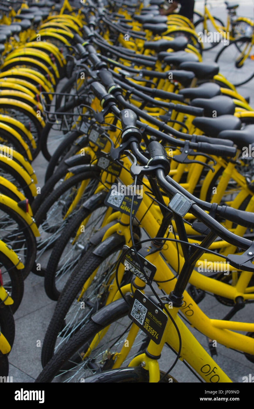 Biciclette pubbliche a strade di Shenzhen, Guangdong, Repubblica popolare di Cina; Ofo bike operatore - giallo bike Foto Stock