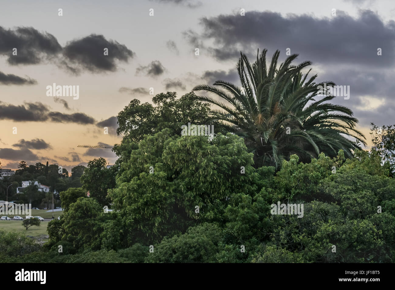 Sunset scena natura verdeggiante Montevideo Uruguay Foto Stock