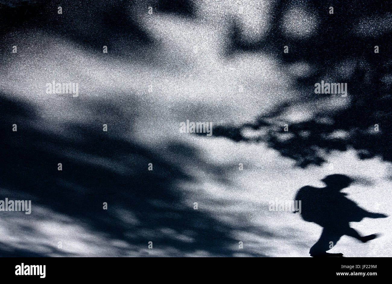 Ombre sfocate di una persona e i rami degli alberi e il cielo sul marciapiede in bianco e nero Foto Stock