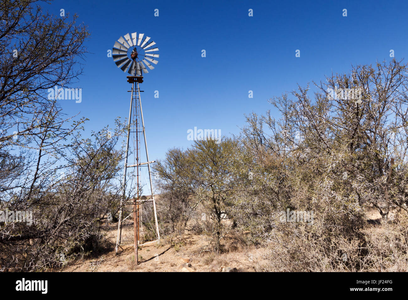 Poveri Lonely Windmill al Mountain Zebra National Park Foto Stock
