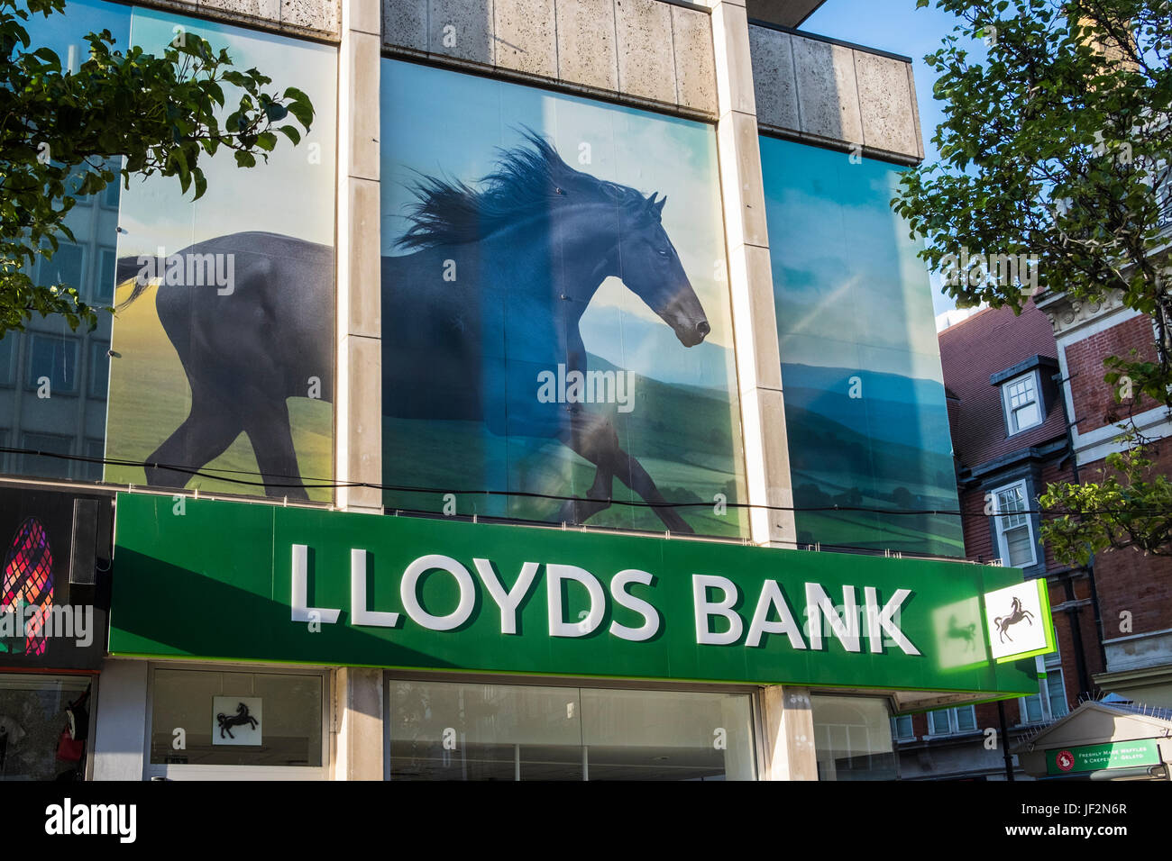 Lloyds Bank con le foto del cavallo nero al di sopra del ramo su Oxford Street, London, England, Regno Unito Foto Stock