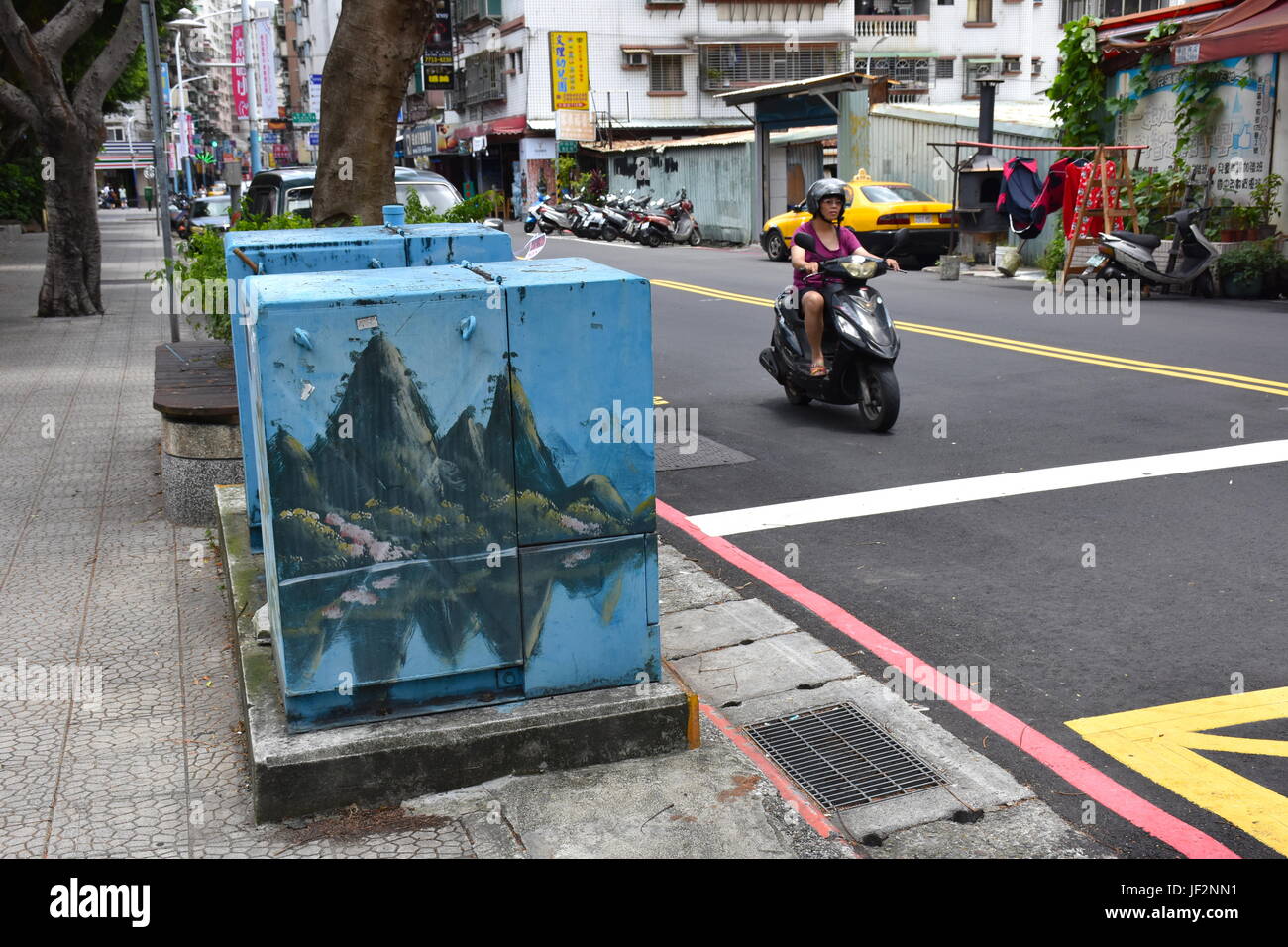 Taiwan electric company dipinge le scatole di alimentazione lungo la strada con diverse scene su ogni scatola, dalle montagne di fiori. Foto Stock