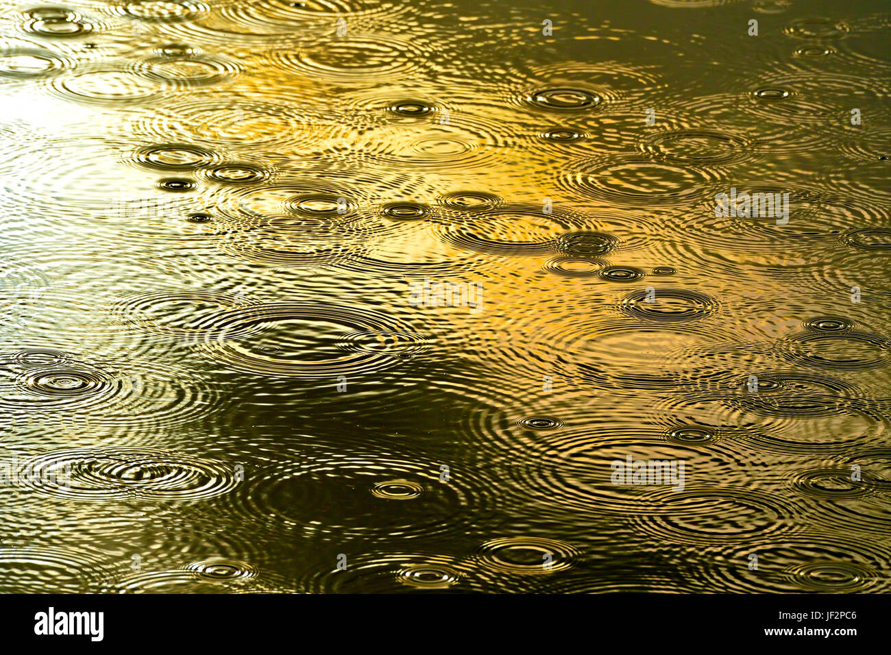 Gocce di pioggia che cadono in una piscina di acqua soleggiati la creazione di modelli di cerchio nell'acqua ancora Foto Stock