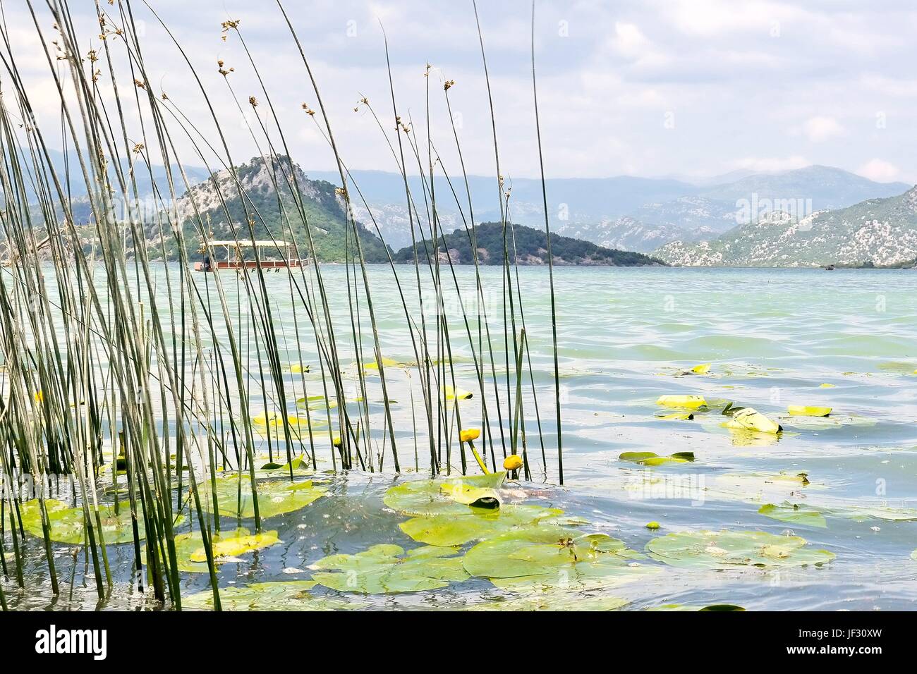 Il Lago di Scutari visto da Vranjina, Montenegro Foto Stock