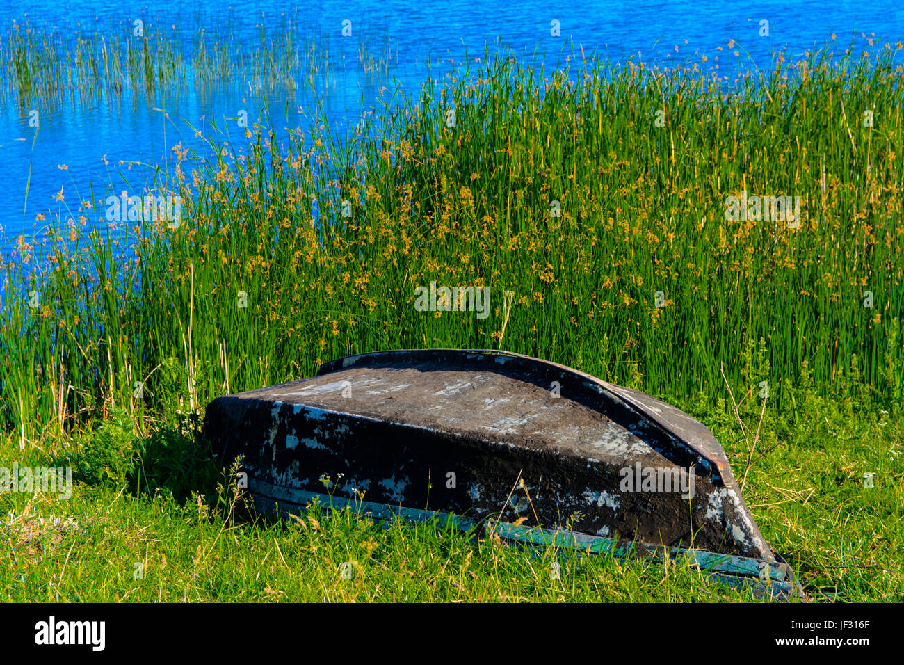 Una vecchia imbarcazione in legno si trova sulle rive di un bellissimo lago Foto Stock