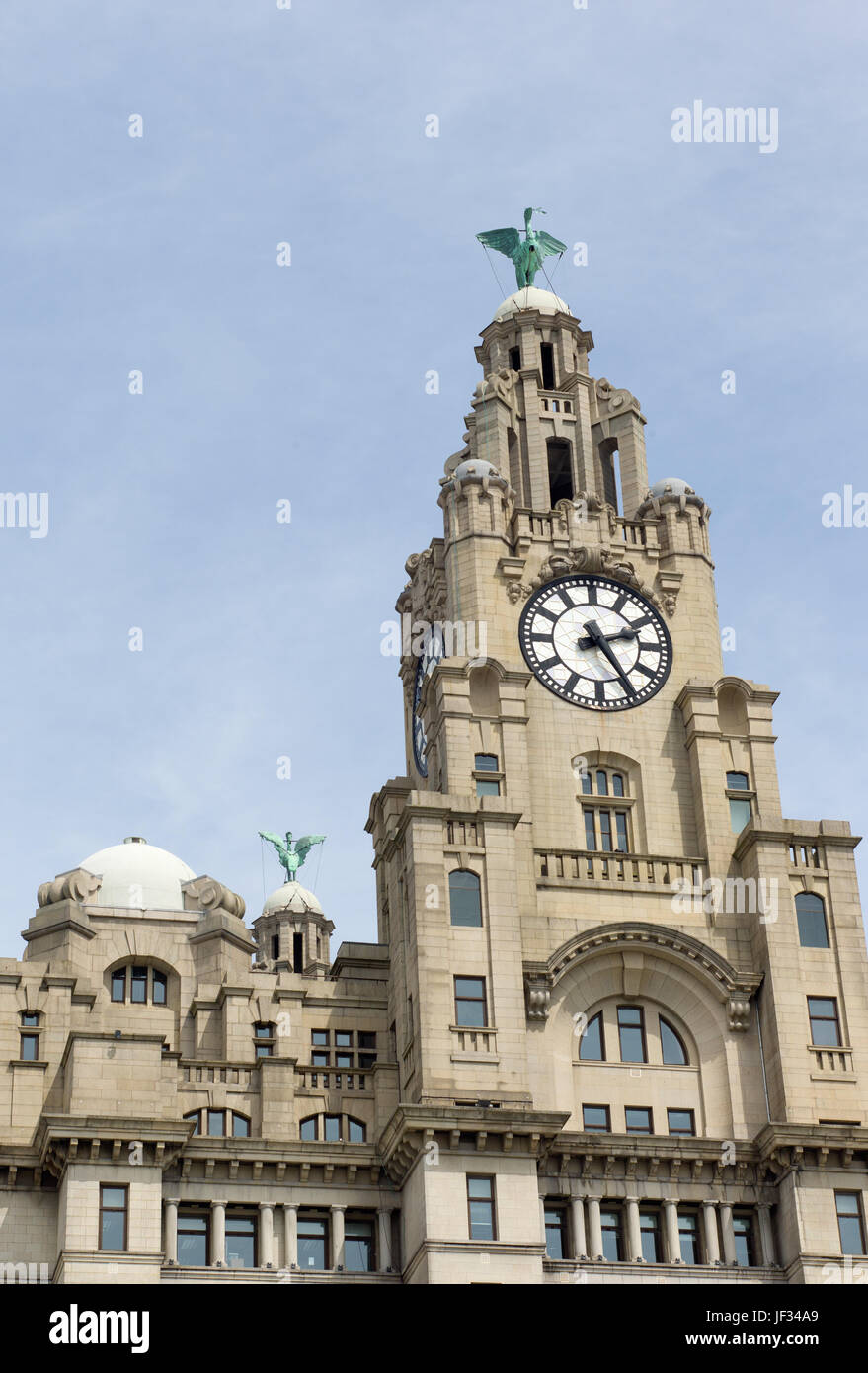 Gli uccelli di fegato su Clock Tower del Royal Liver Building, Pier Head, Liverpool, Regno Unito Foto Stock