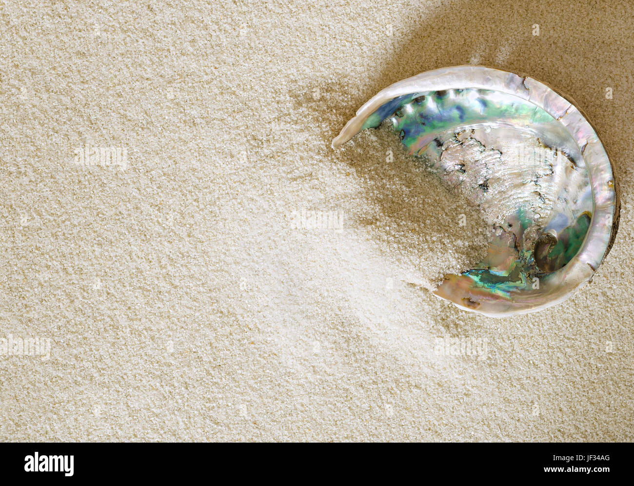 Big abalone shell sulla sabbia bianca. Anche ormer, orecchie di mare, muttonfish muttonshell o. Haliotis, lumaca di mare aperto con struttura a spirale. Foto Stock