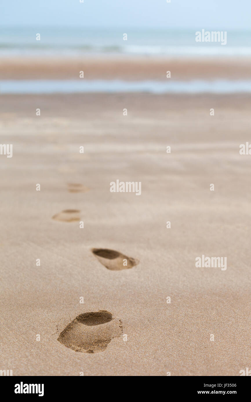 Orme di una persona che cammina nella sabbia lontano dal bordo dell'acqua Foto Stock