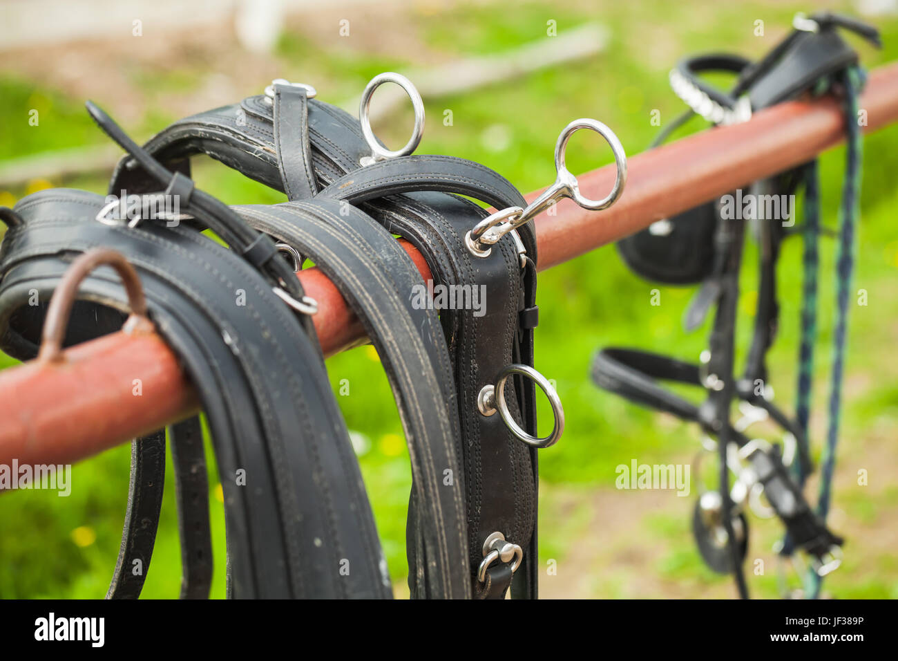Cablaggio del cavallo appeso sulla ringhiera del ranch Foto Stock