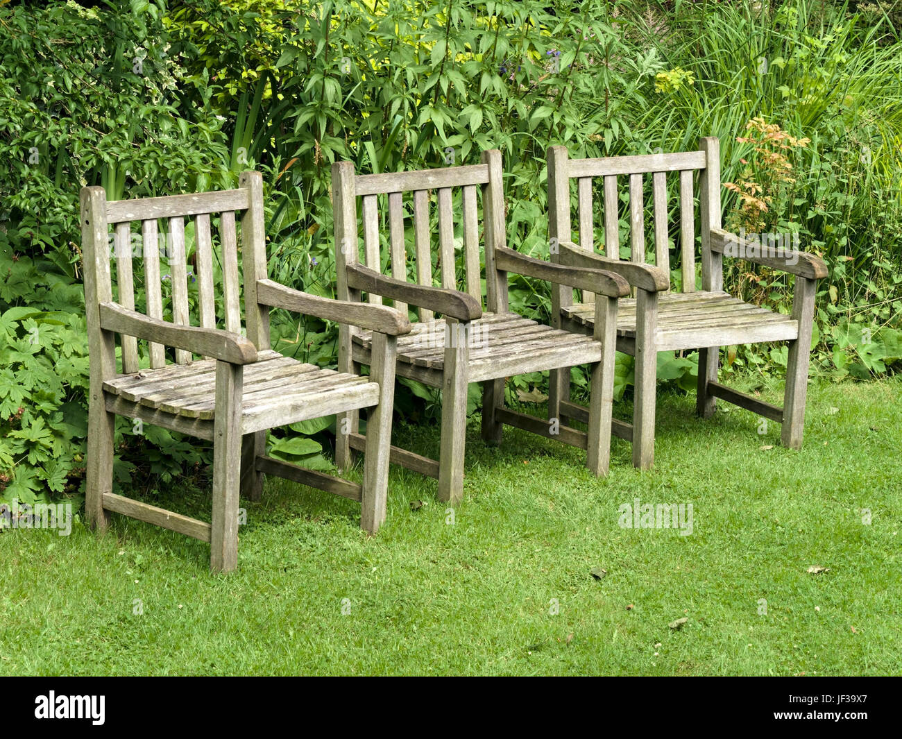 Una fila di tre vuoto in legno Sedie da giardino su un verde prato con cespugli verdi dietro. Foto Stock