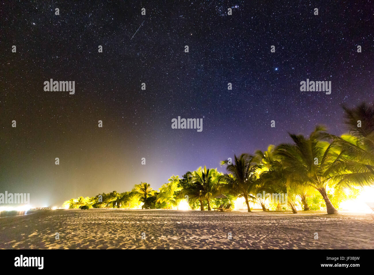 Perfetto cielo notturno nelle Maldive. Stelle e Palm Tree sulla spiaggia sabbiosa Foto Stock