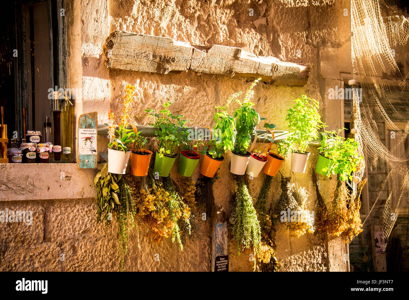 Un negozio di fronte alla città vecchia è fiancheggiata da piante sulle pareti di pietra nella città di Korcula, in Croazia Foto Stock