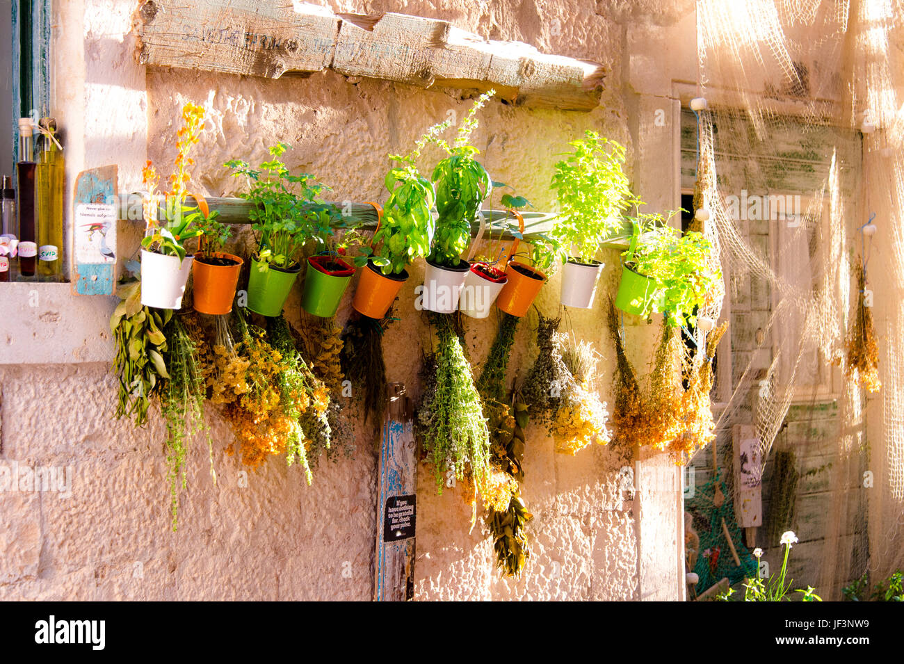 Un negozio di fronte alla città vecchia è fiancheggiata da piante sulle pareti di pietra nella città di Korcula, in Croazia Foto Stock