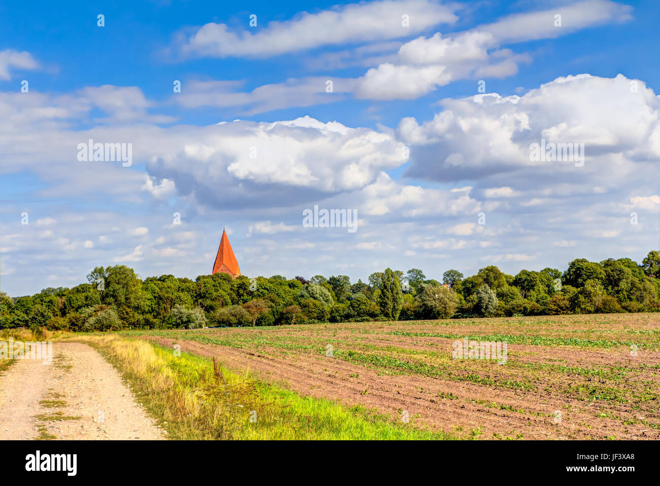Superficie agricola in Germania Foto Stock