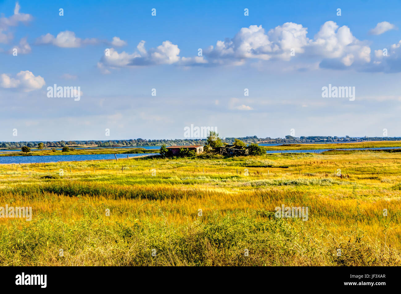 Superficie agricola in Germania Foto Stock