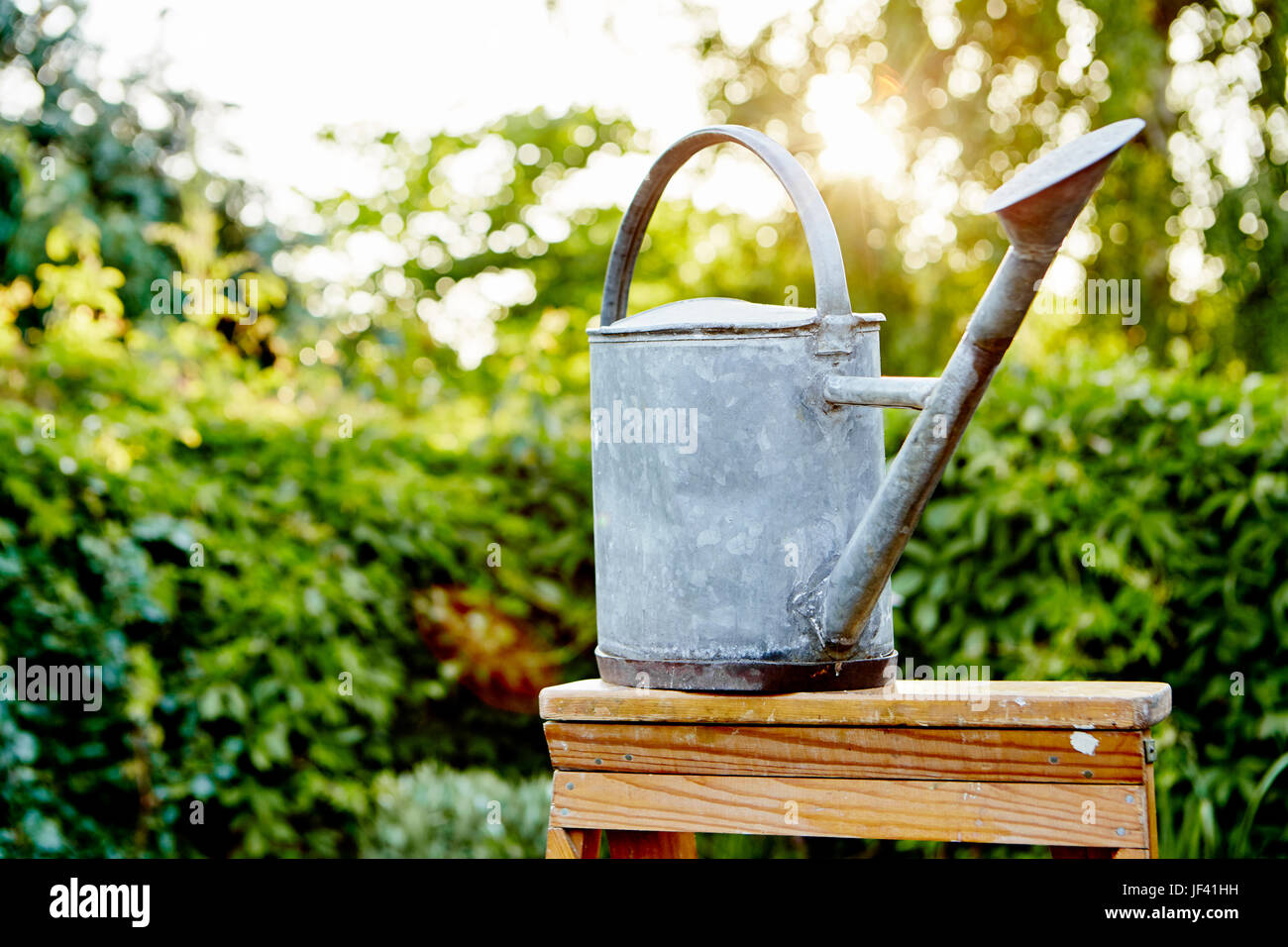 Annaffiatoio Verde E Secchio Galvanizzato Di Erba Nel Giardino Immagine