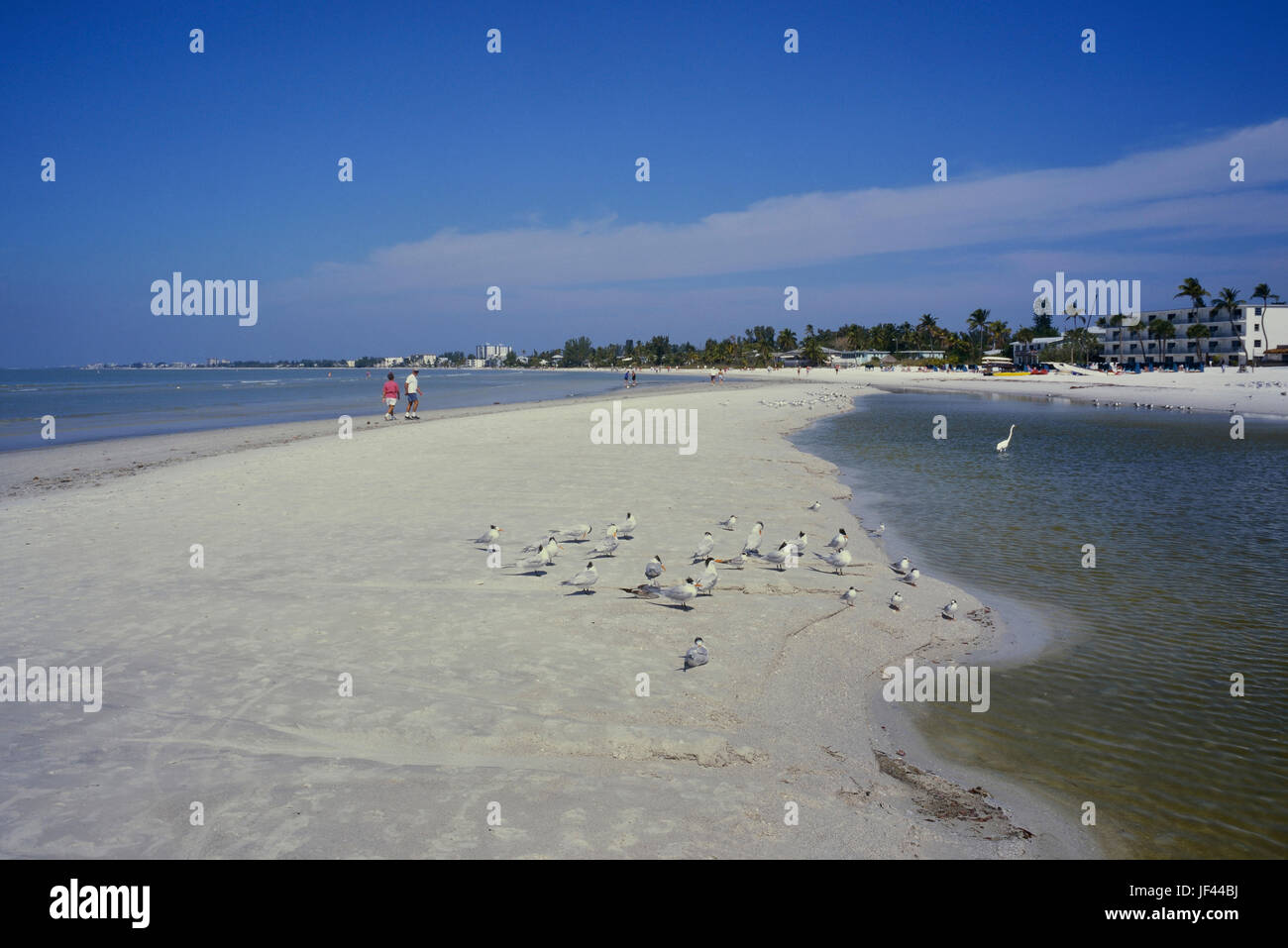 La spiaggia di Fort Myers, Lee County, Florida, Stati Uniti d'America Foto Stock