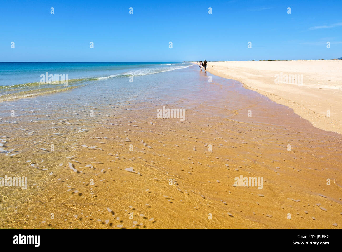 La spiaggia su Ilha de Tavira, raggiunta in barca da Tavira, Portogallo Foto Stock