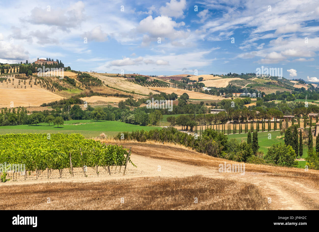 Tipico paesaggio italiano in Toscana Foto Stock Tipico paesaggio italiano in Toscana Foto Stock