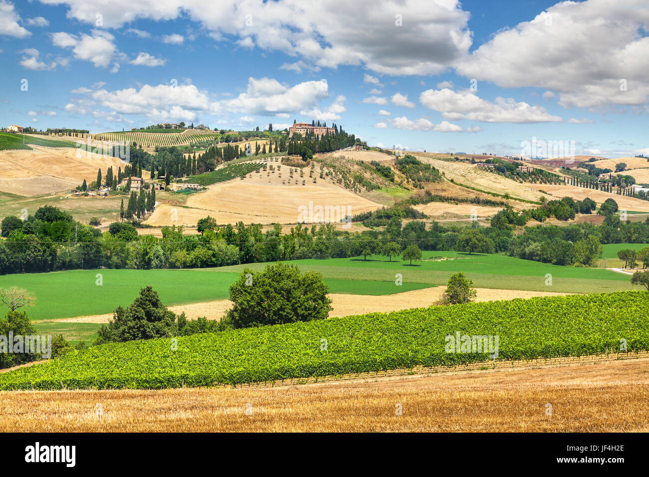 Tipico paesaggio italiano in Toscana Foto Stock Tipico paesaggio italiano in Toscana Foto Stock