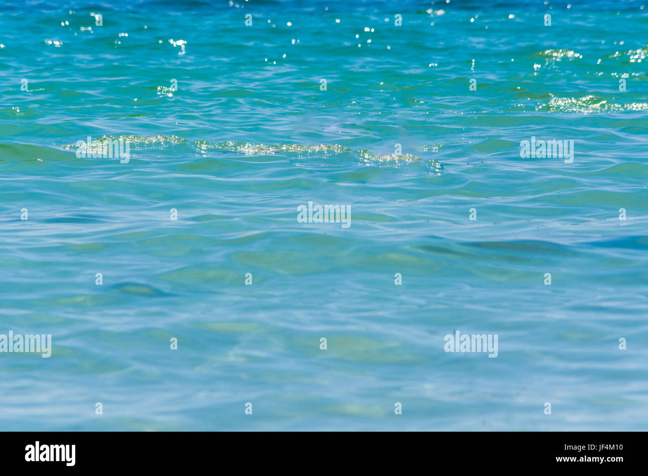 Mare tropicale dettaglio Foto Stock