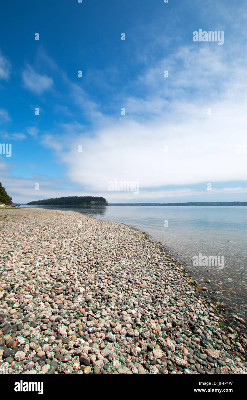 Shine Tidelands stato parco Litorale di Bywater Bay vicino a Port Ludlow in Puget Sound nello Stato di Washington STATI UNITI D'AMERICA Foto Stock
