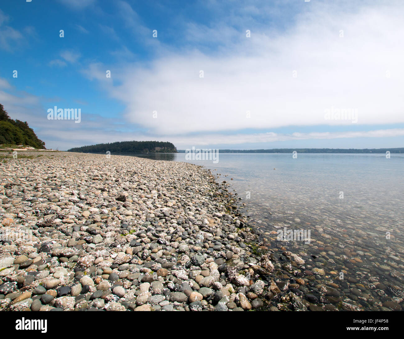 Shine Tidelands stato parco Litorale di Bywater Bay vicino a Port Ludlow in Puget Sound nello Stato di Washington STATI UNITI D'AMERICA Foto Stock