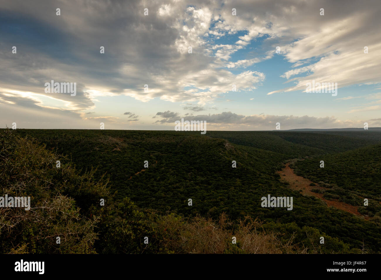 Nuvole scure sul campo verde Foto Stock