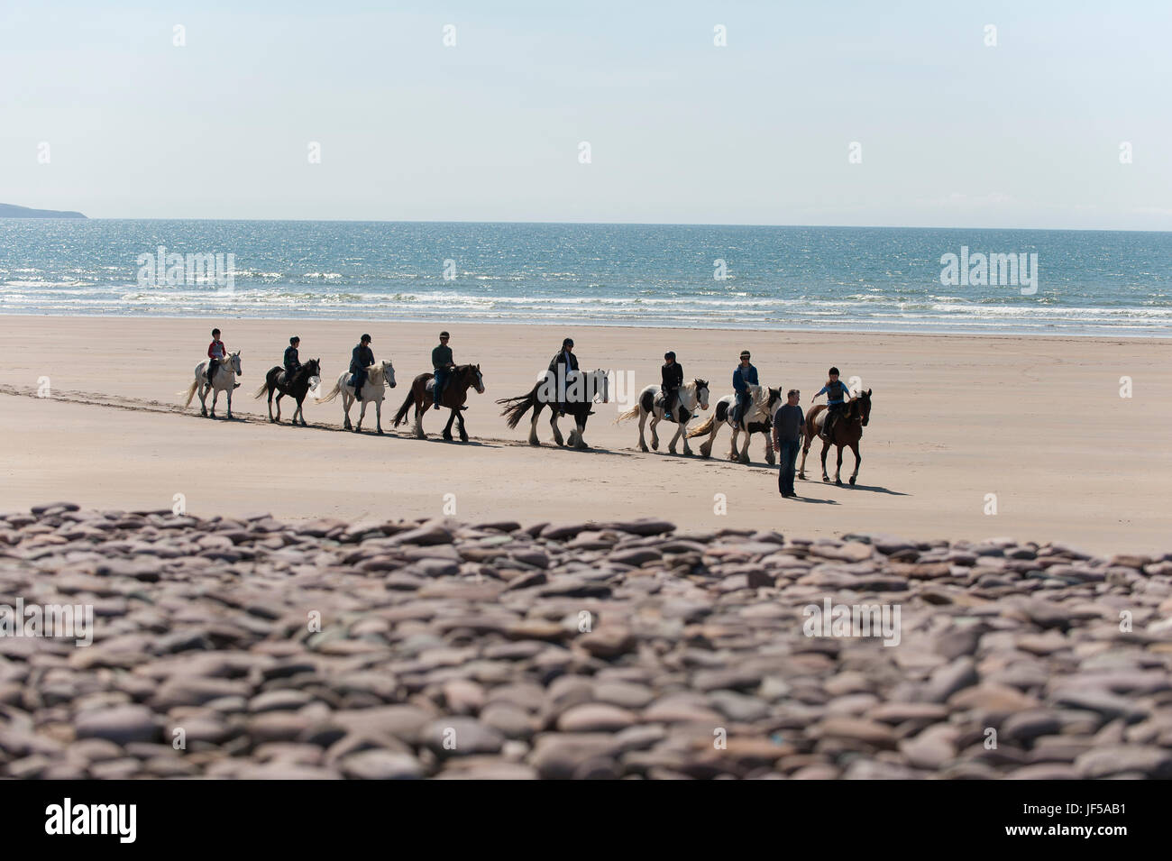 Equitazione su un escursione sono guidati da un uomo sulla spiaggia Rossbeigh nella Contea di Kerry, Irlanda. Foto Stock