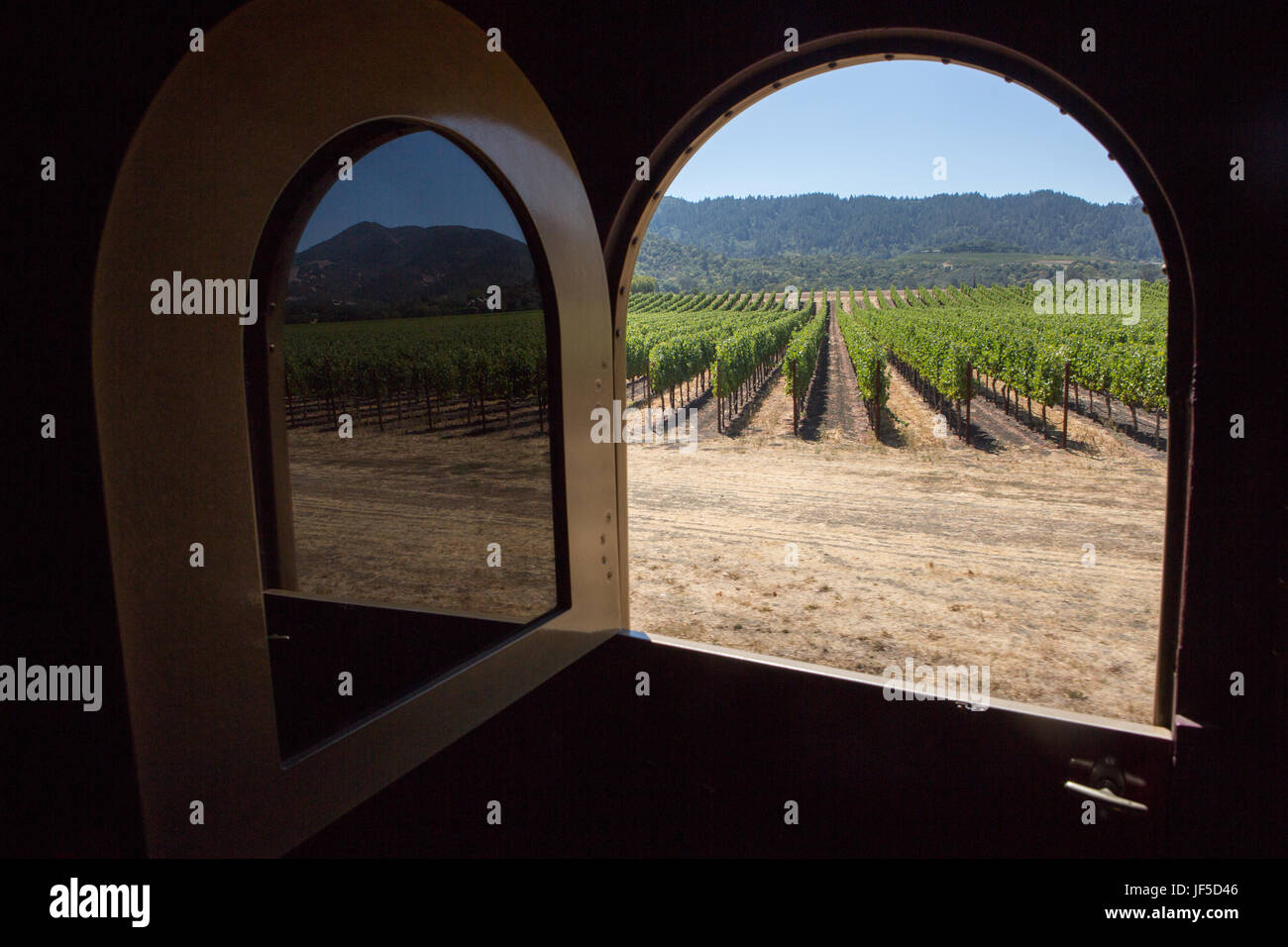 Filari di vigneti in Napa Valley sono riflesse nella finestra della Napa Valley Wine Train. Foto Stock